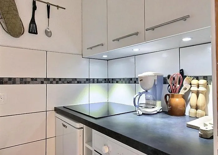 Superbe Duplex Renove Avec Wi-fi - 6 Pers, 3 Px, Ski-in/ski-out - Fr-1-455-53 * La Plagne